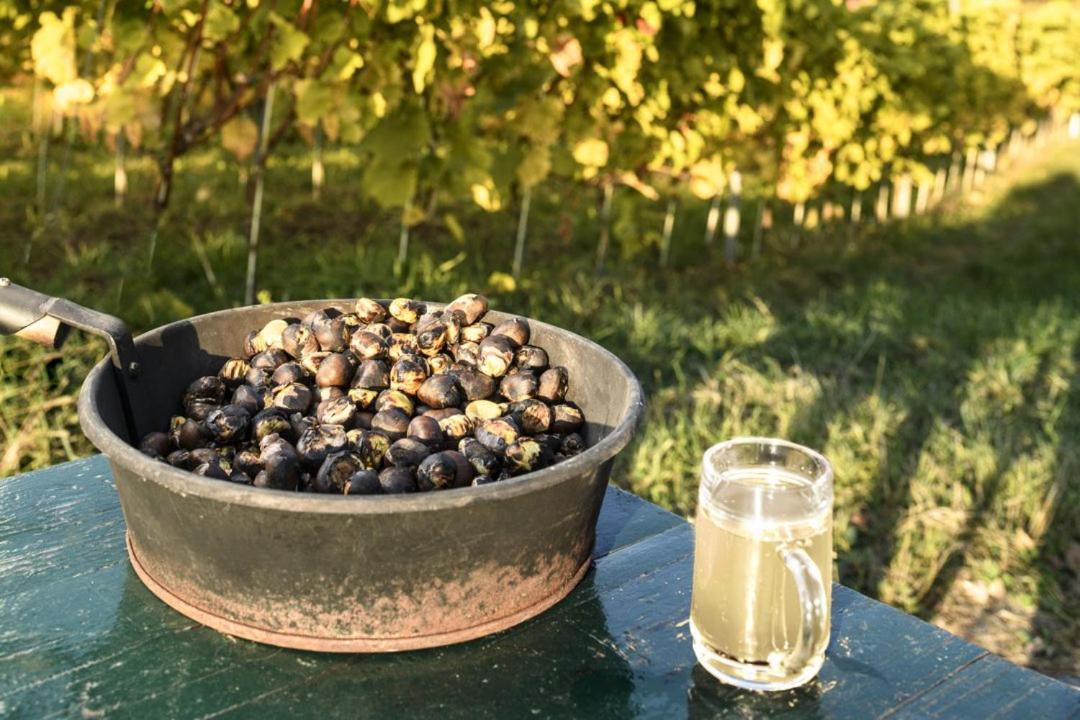 Gasthof Wagner Restaurant-Pension Halbenrain Εξωτερικό φωτογραφία